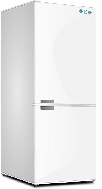 appliance repair refrigerator